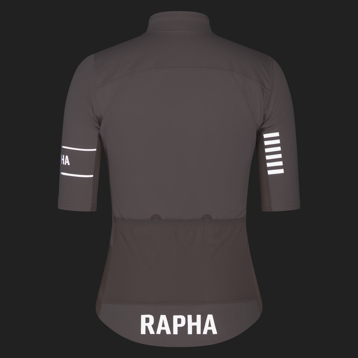 Women's Pro Team Windstopper Jersey - Silver/Silver Reflective