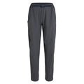 Women's Explore Pants - Asphalt / Vulcan