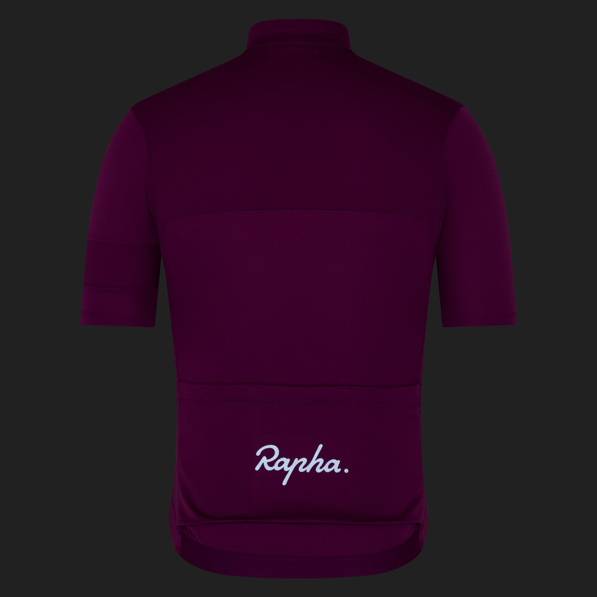 Men's Brevet Element Jersey - Amethyst/Dark Navy