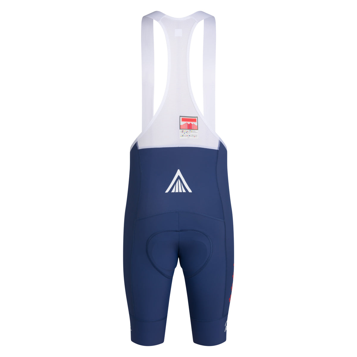 AMANI Men's Pro Team Training Bib Shorts - Multicolour