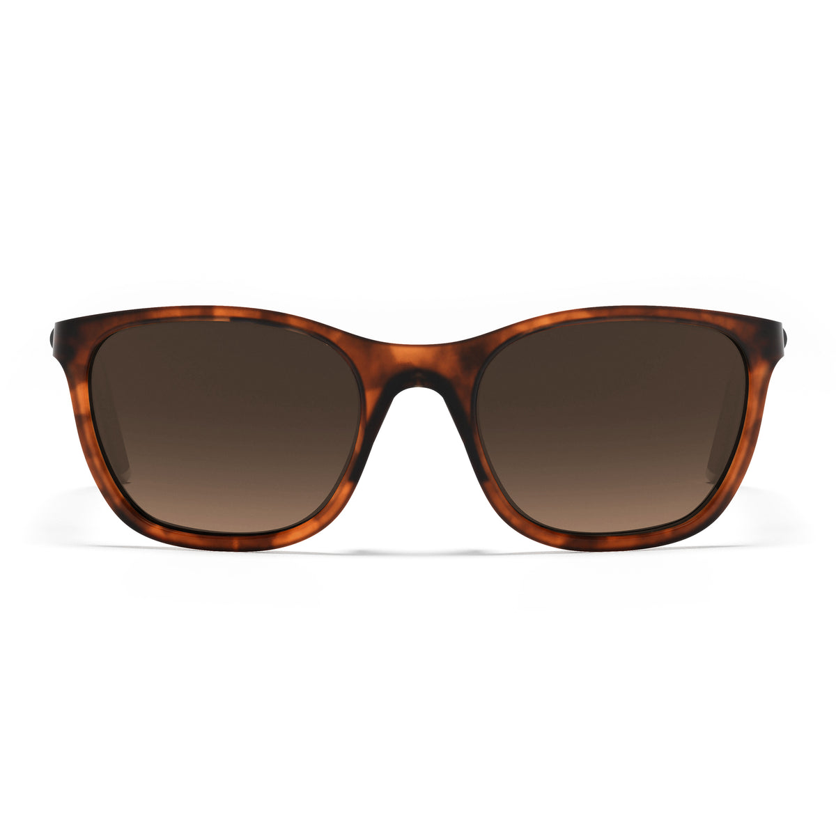 Aubisque Sunglasses - Brown