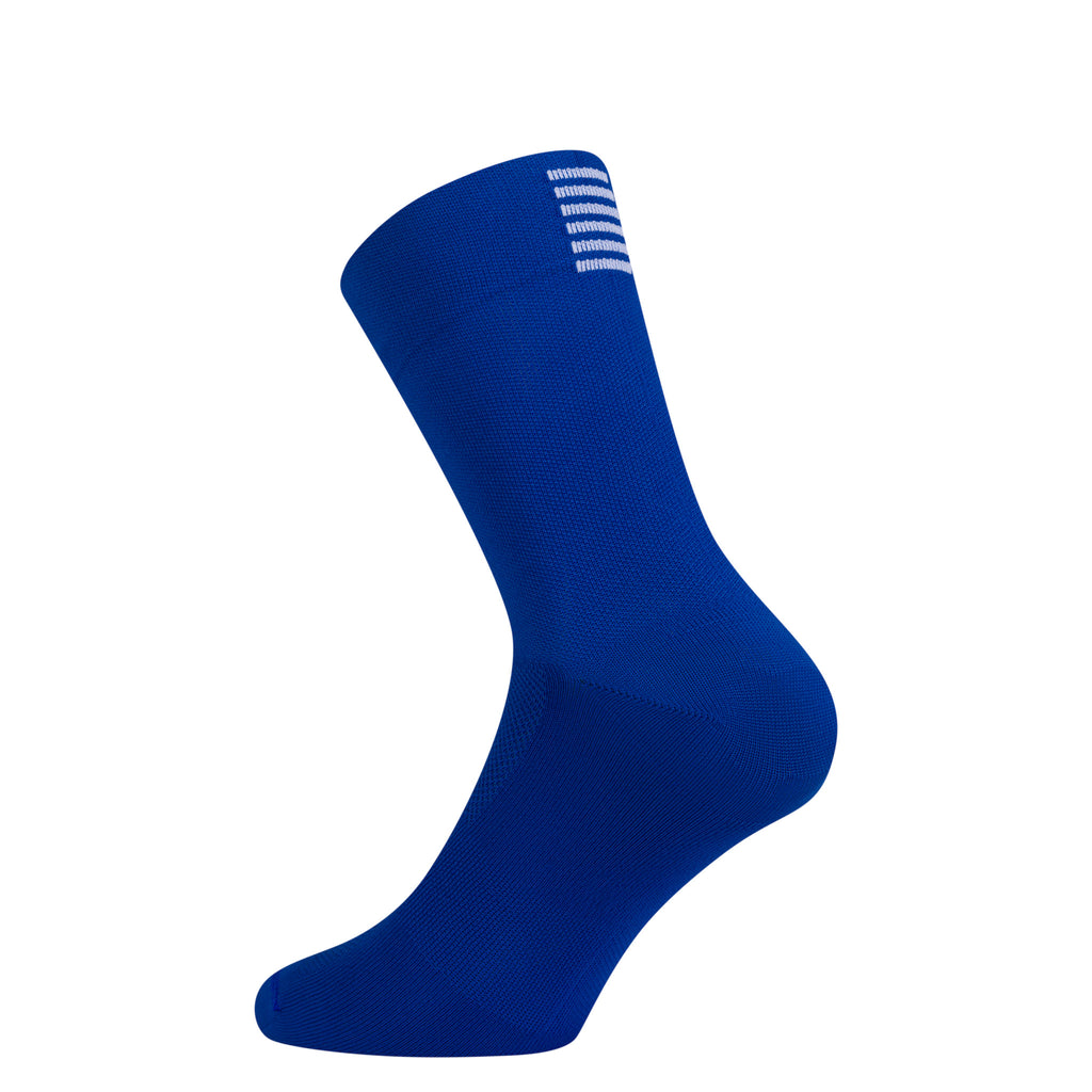 Pro Team Socks - Regular - Blue/White